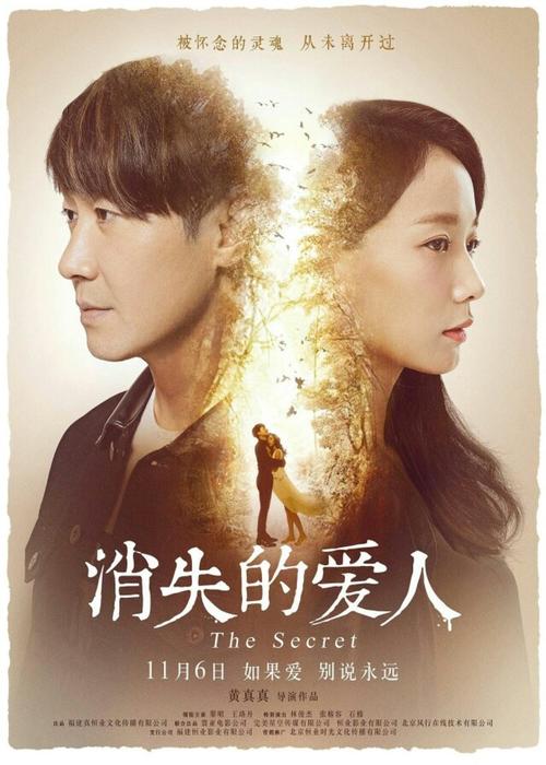 一比一仿芬兰驾驶证